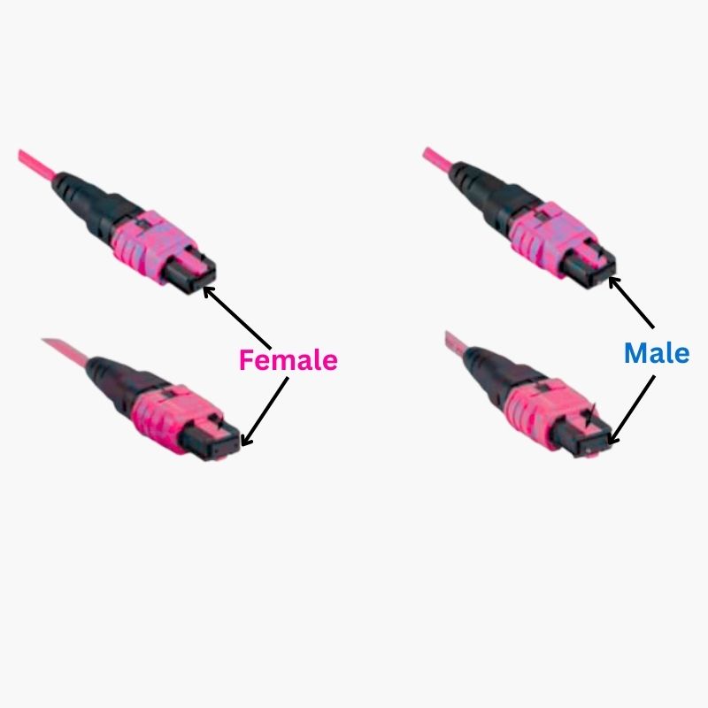 Introduction to MPO Fiber Patch Cords